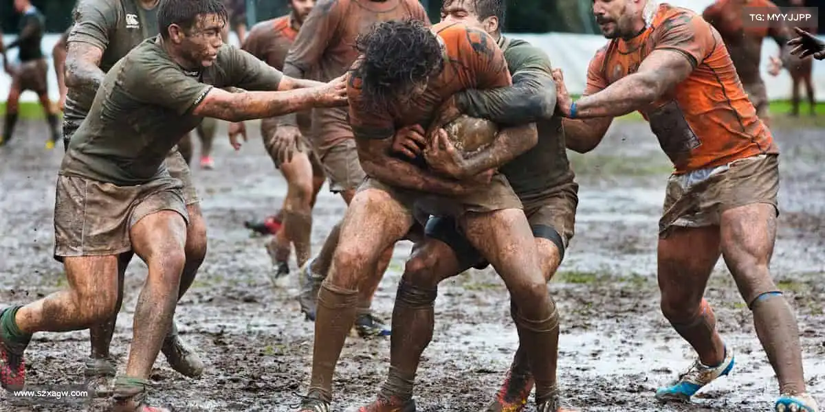 <strong>星空综合</strong>用热爱奔赴，让运动成为生活底色！🎾✨